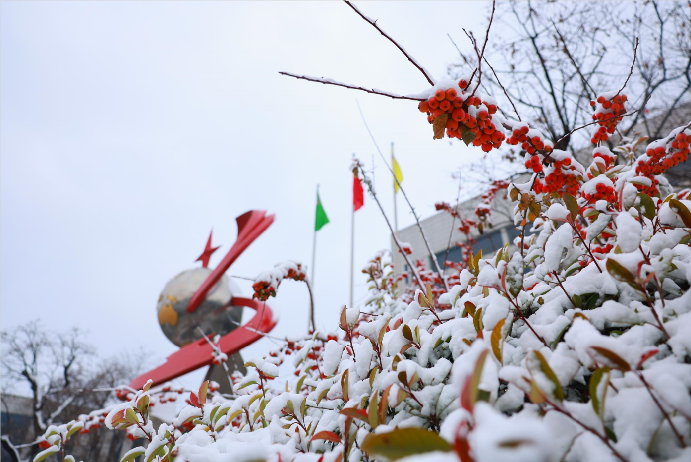 组图｜瑞雪丰年 雪遇三星